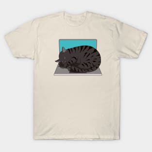 cat sleeping on laptop T-Shirt